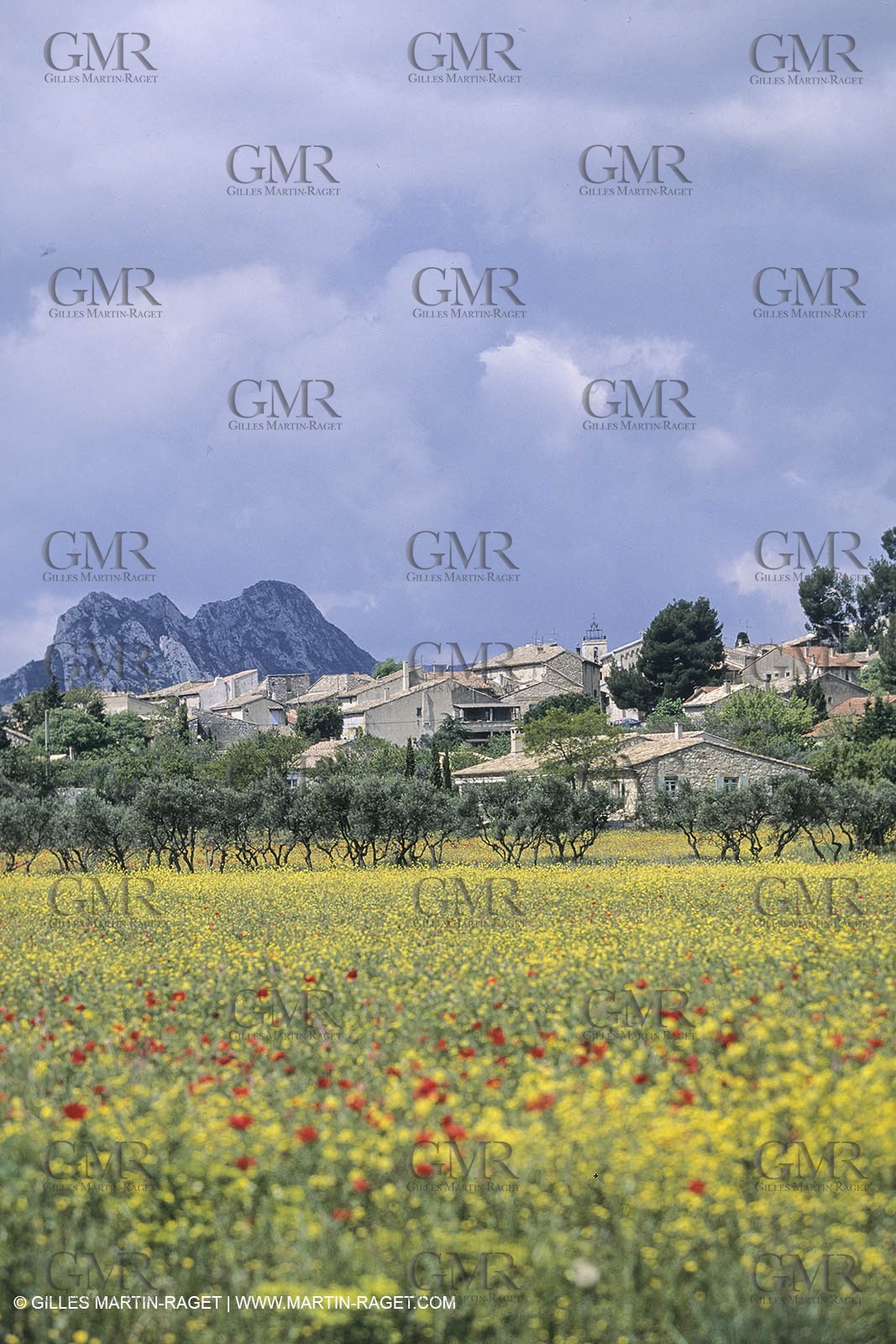 France, Provence, paysage des Alpilles, Alpilles landscapes, Eygalières
