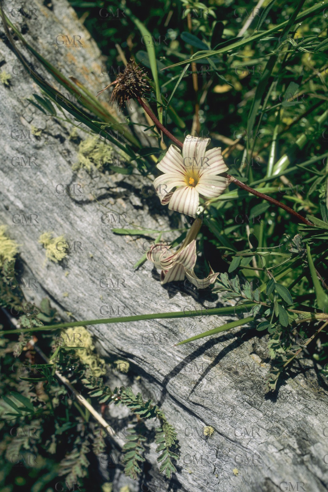 Sailing destinations, Patagonia, Chile