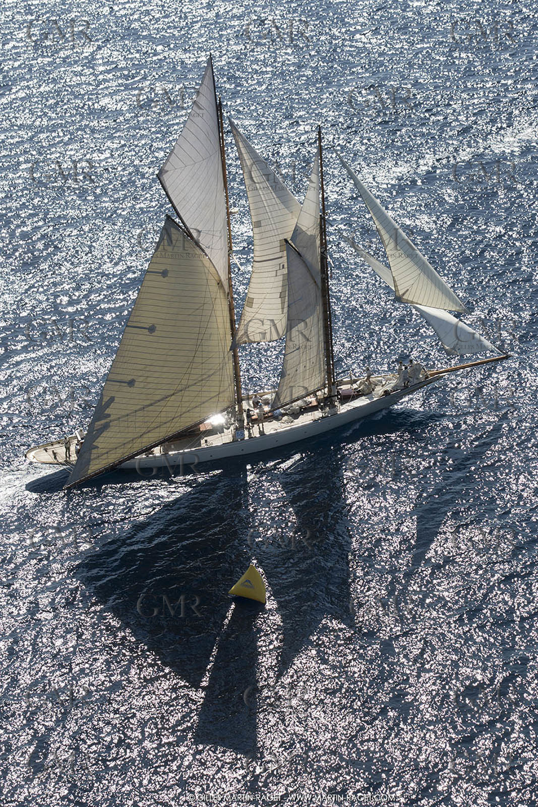 Royales17_9267.jpg