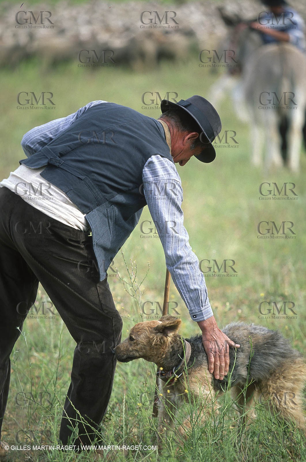 Saint Rémy de Provence (FRA,13) - Sheep stocks migration Fest