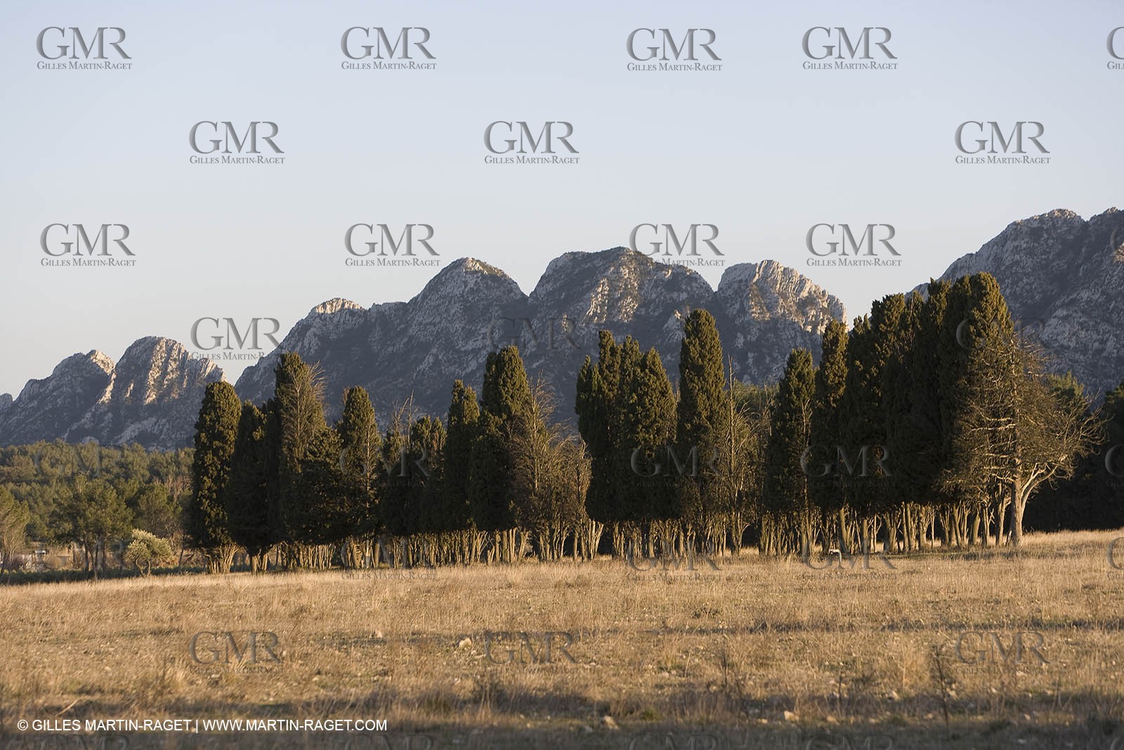 16 02 2008 - Les Baux de Provence (FRA, 13) - Alpilles hills landscapes