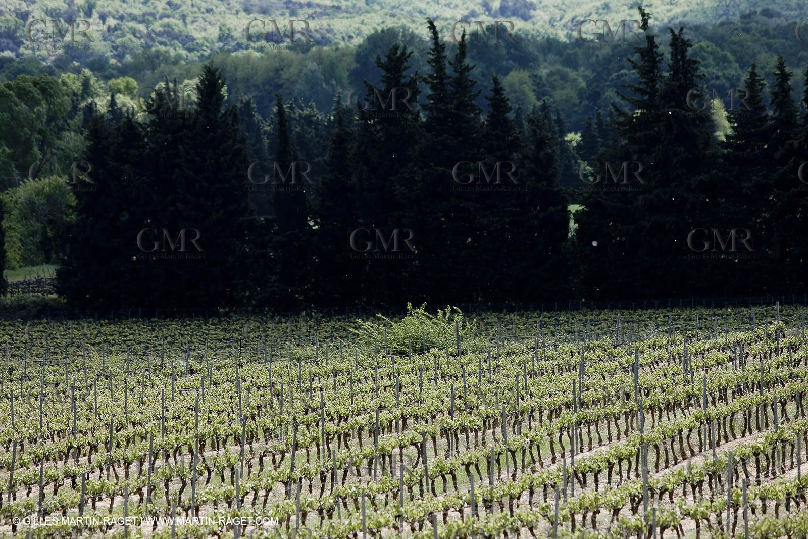 28 04 2009 - Saint Chaptes (FRA, 30) - Atlas Nîmes Métropole -  2009 campaign