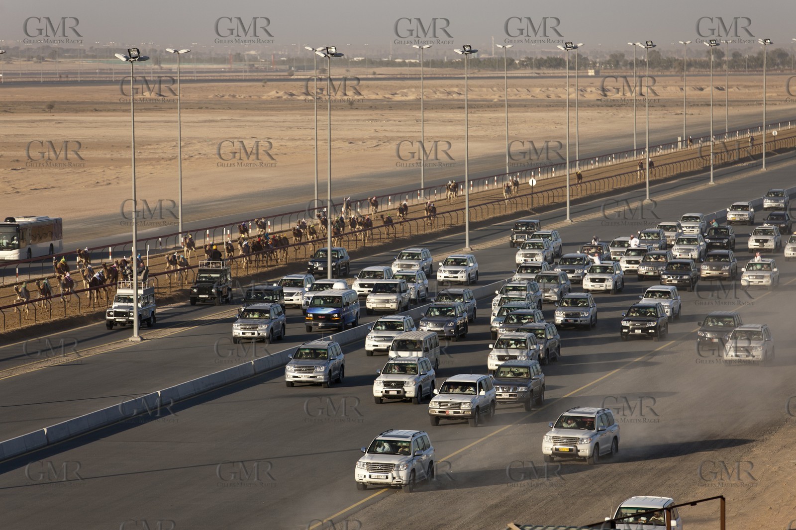 20 11 2010 - Dubai (UAE) - Camel races
