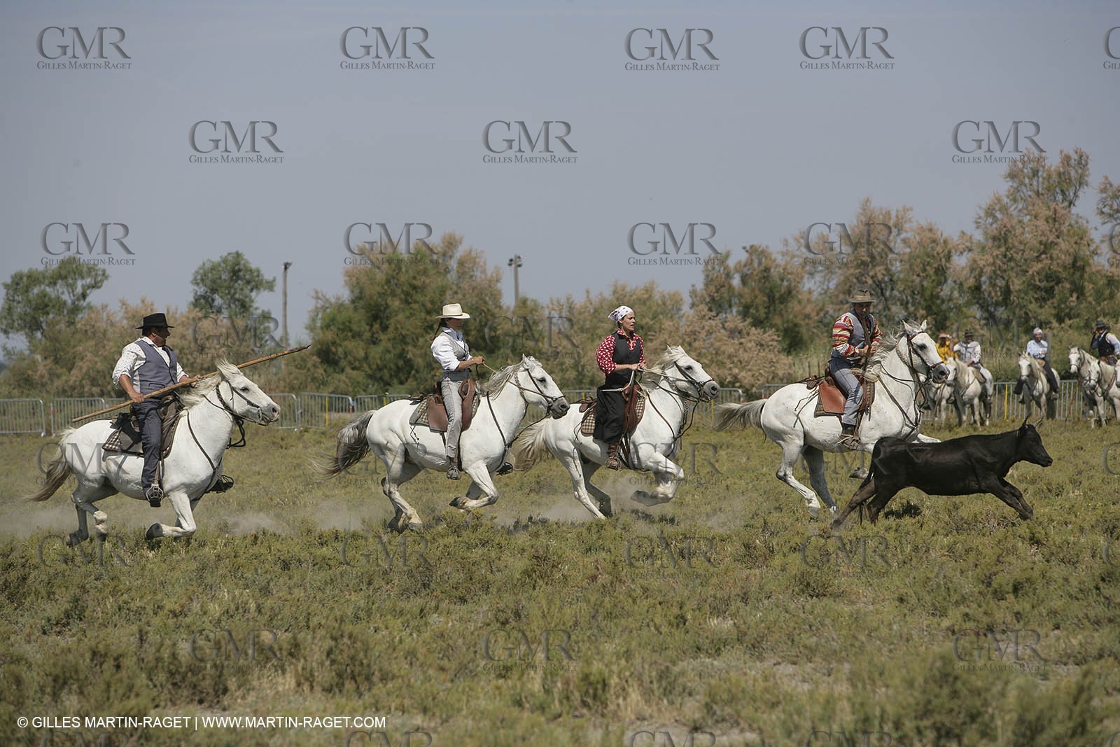 Arles 2006, Camargue horses races