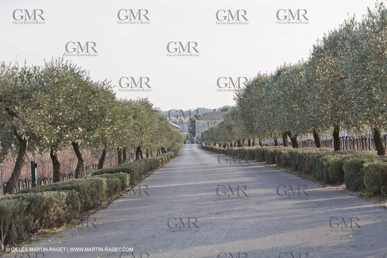 Saint Drézéry (FRA, 34), Domaine de Puech Haut