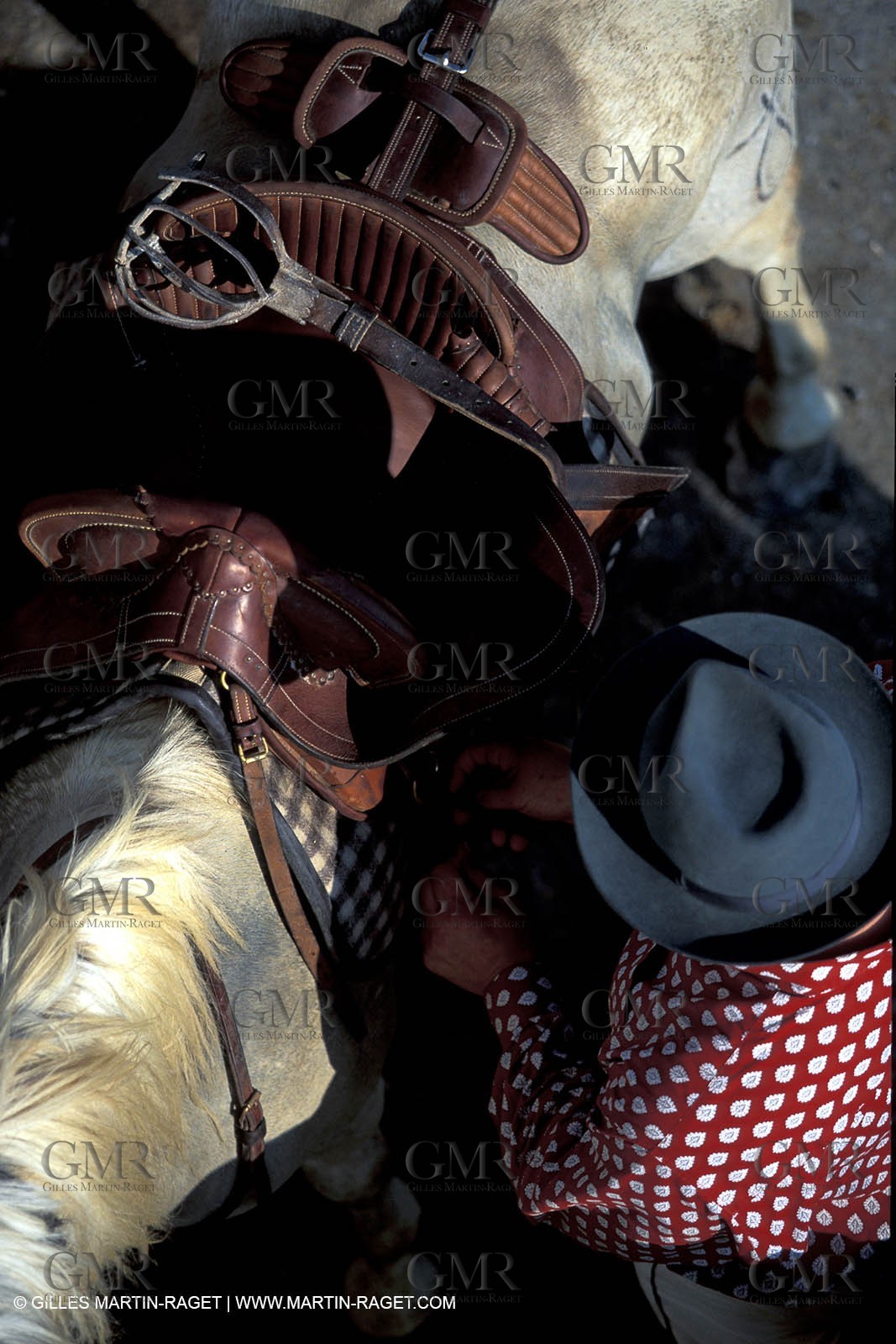 Arles - Camargue gardians (cow boys) at work