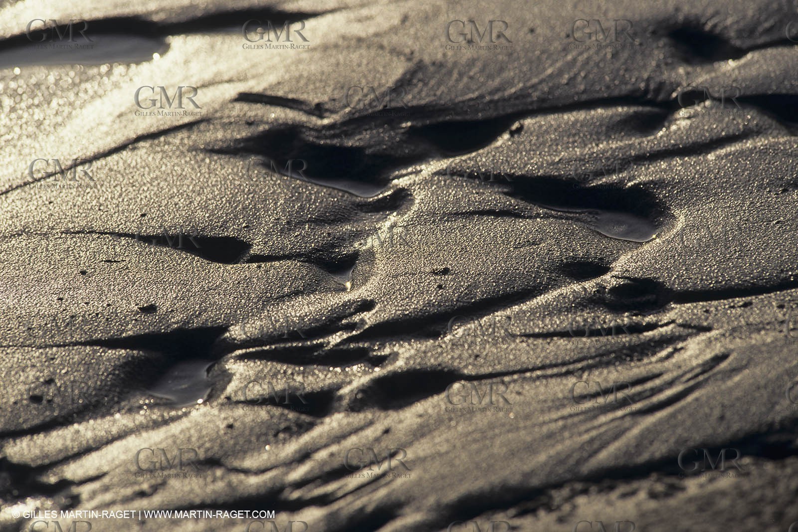 France, Provence, Camargue, Nature, plage, sable