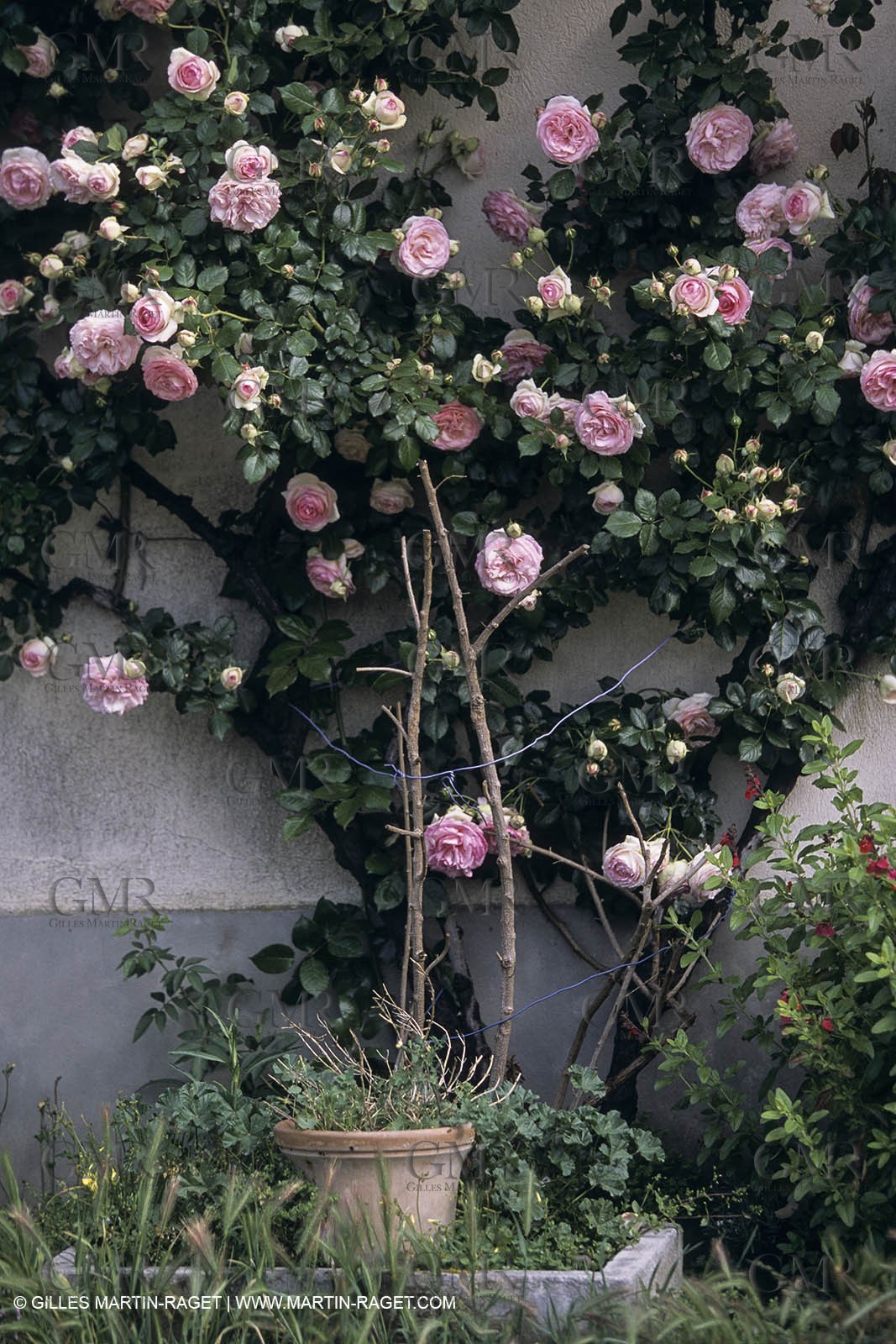 Camargue (FRA) - houses and cants from Camargue