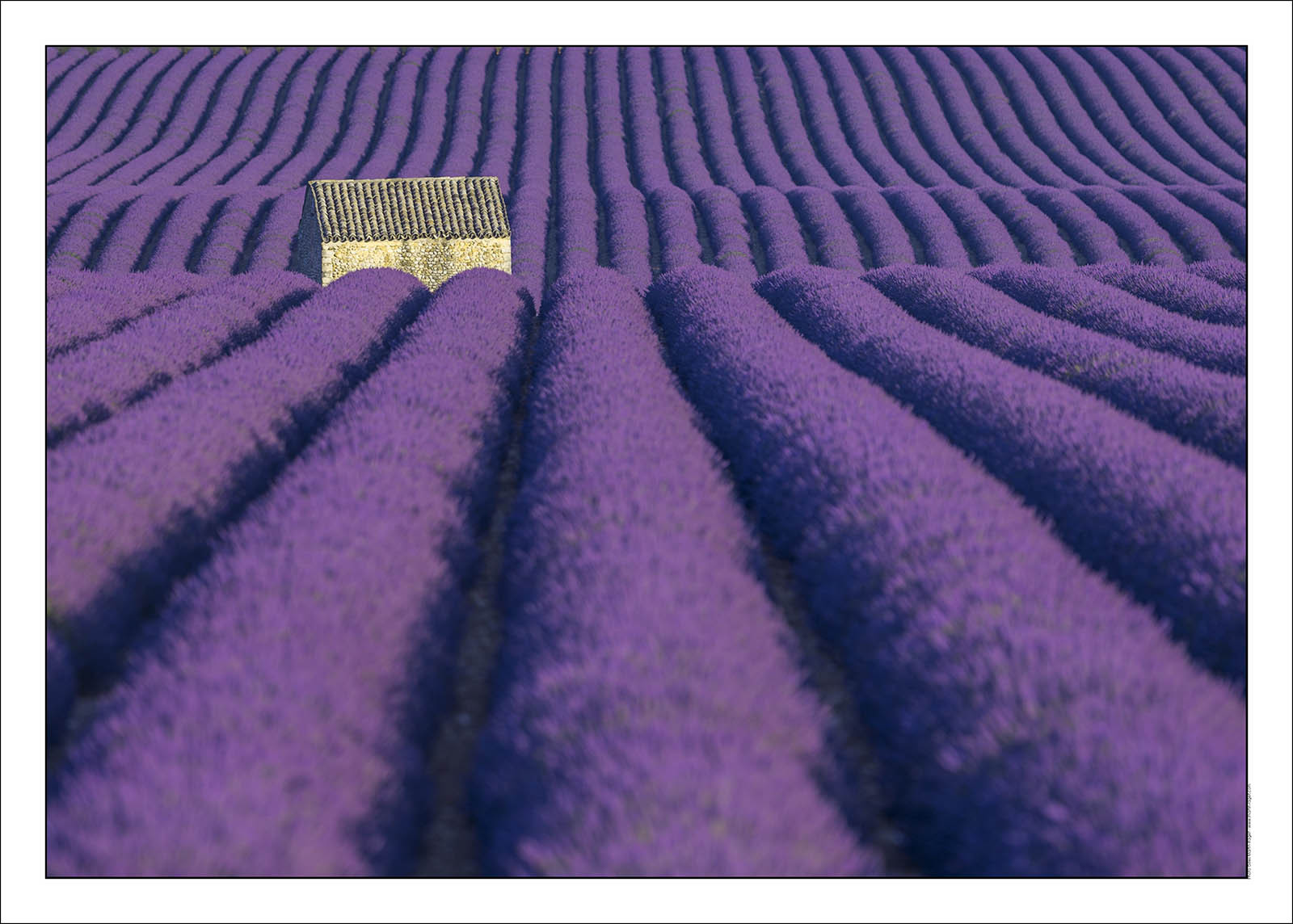 Product: in house made quality print on 8 ultrachome colors Epson ink Jet printer.Available sizes: . 20x30 cm. 30x40 cm. 50x70 cm. 80x120 cmAvailable papers: . Standard 250 gr glossy paper print, black streak, white margin, no signature. Top quality glossy 290 gr. paper, black streak, white margin, checked and signed by the author. Fine Art print (signed, numbered, stamped, registered) on demand. Other supports (Canvas, Acrylic, Metal) on demandPackaging: cylindric reinforced tubeShipping options: regular mail or Shipping companyClick on the basket icon to select your options and start the online ordering process