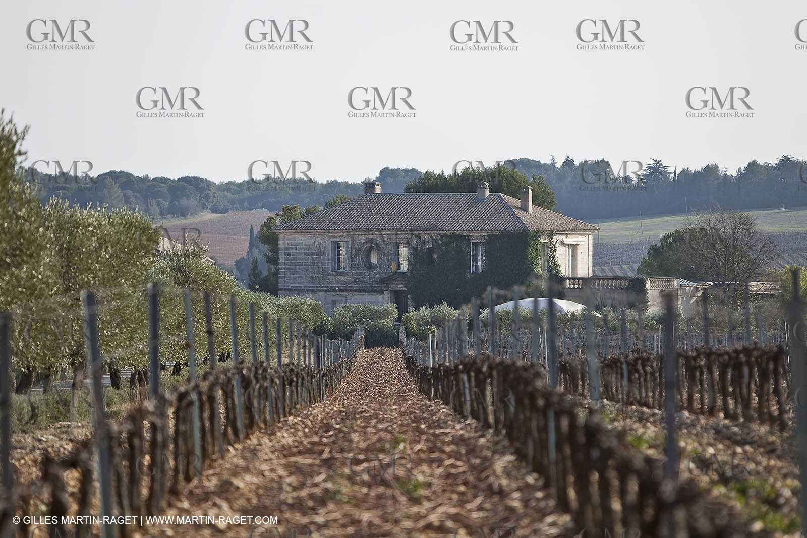 Saint Drézéry (FRA, 34), Domaine de Puech Haut