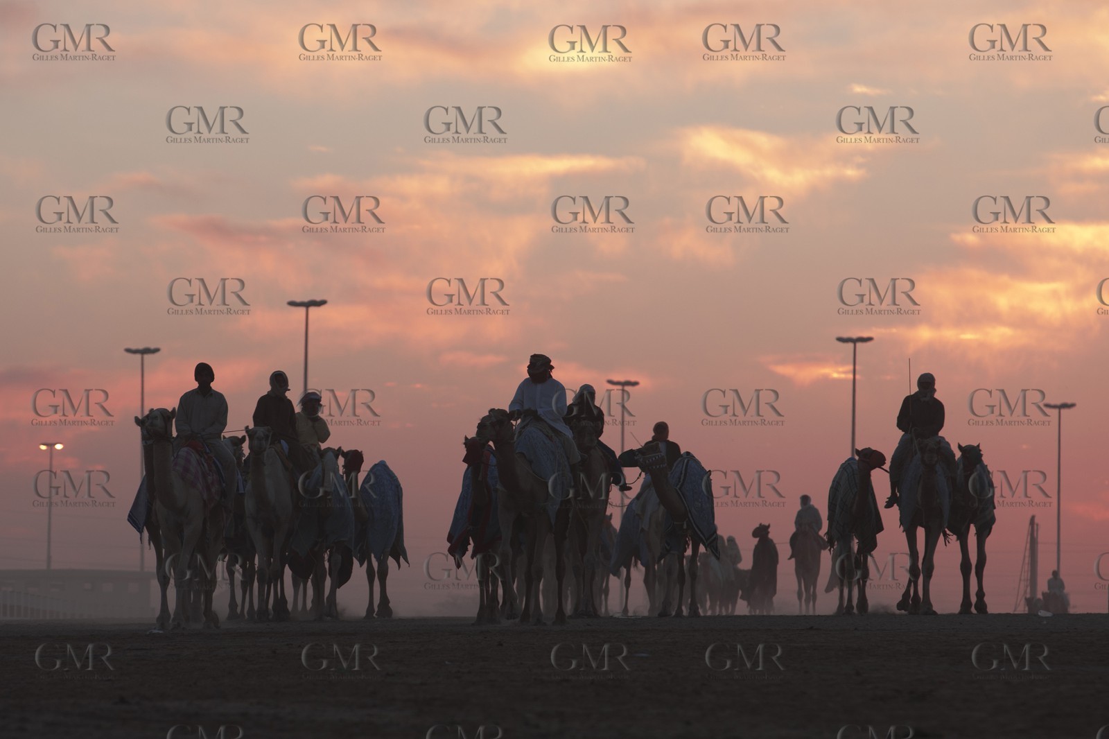 20 11 2010 - Dubai (UAE) - Camel races
