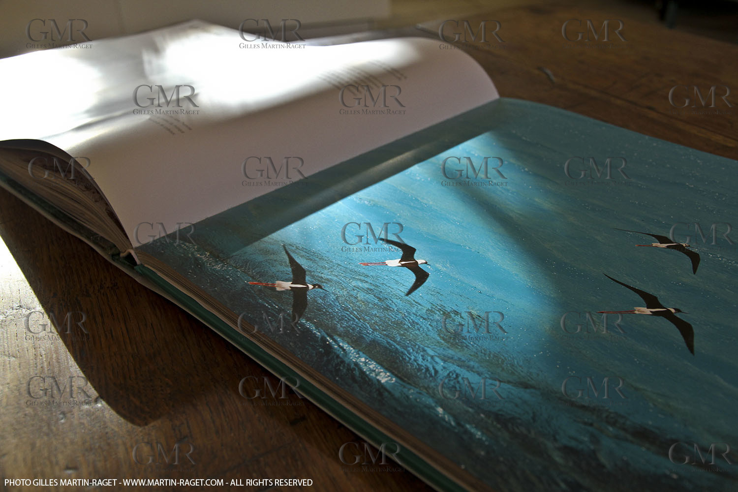 09 11 2010 - Marseille (FRA,13) - Photos odf the book Calanques, Si proches, si lointaines, Ed. Cres, Words by Juliette Lembot, Photos by Gilles Martin-Raget