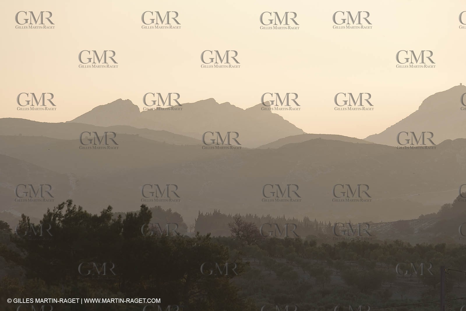 22 02 2008 - Mouriès (FRA, 13) - Alpilles hills landscapes