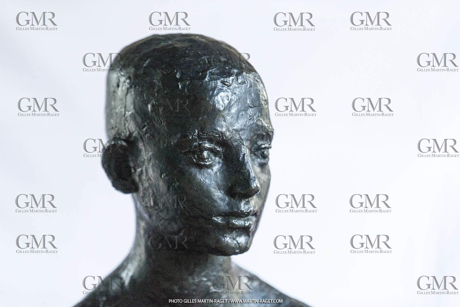 06 03 2016, Saint-Etienne du Grès (FRA,13), Oeuvre de Germaine Richier, Loretto I 1934, Bronze patiné foncé, Numéroté 4 6, fondeur Susse, Paris, 160 x 52 x 35 cm, Collection particulière