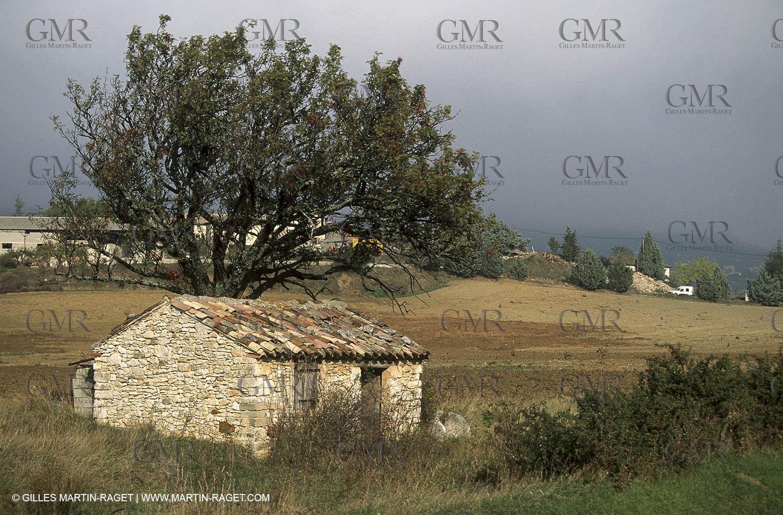 Luberon (FRA,84), Fall colors