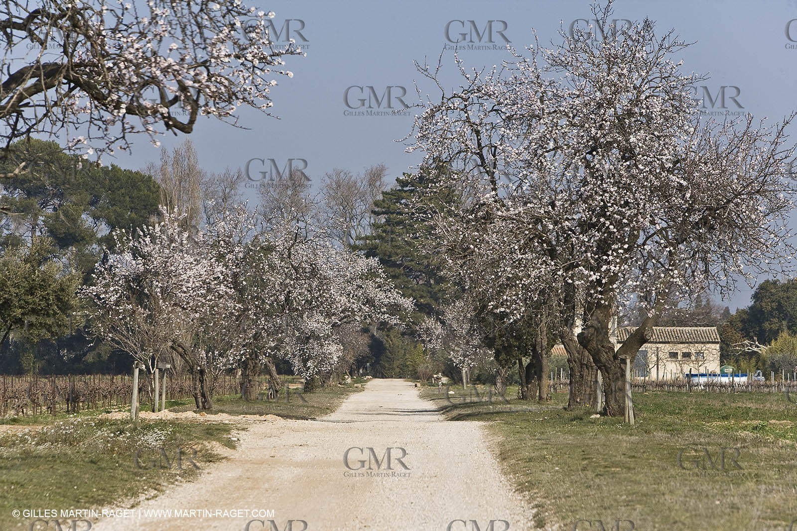 16 02 2008 - Saint Rémy de Provence (FRA, 13) - Alpilles hills landscapes