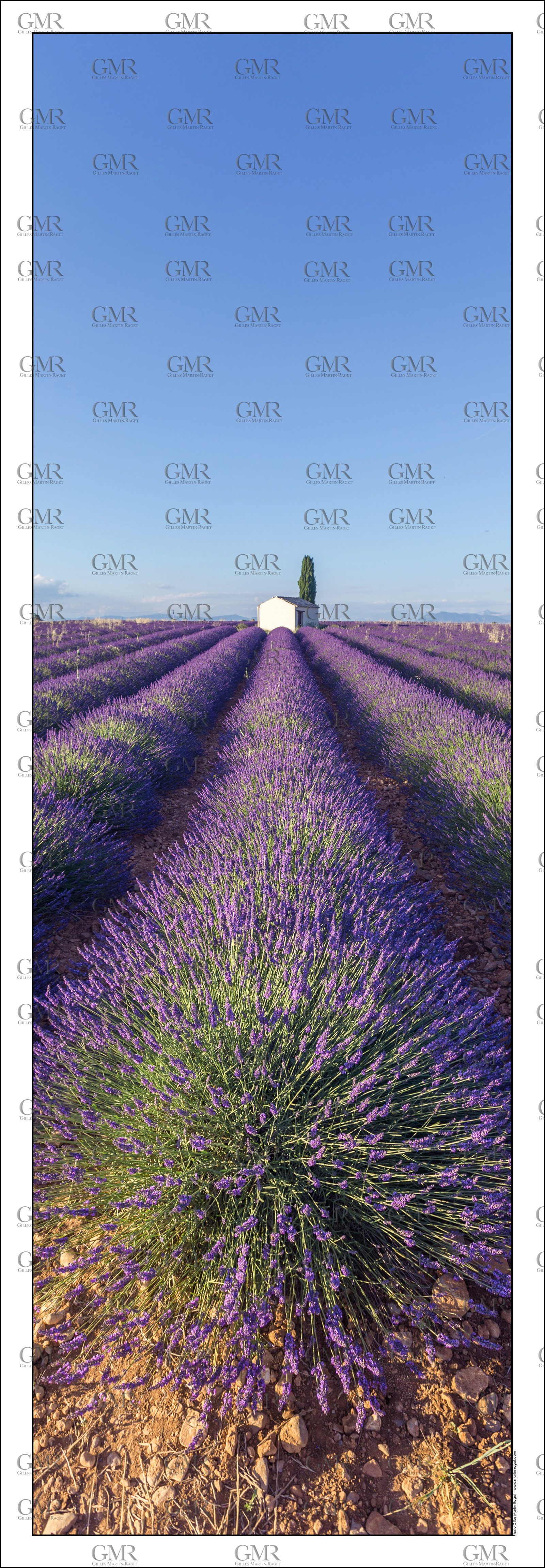 Product: in house made quality print on 8 ultrachome colors Epson ink Jet printer.Available sizes: . 20x 60 cm. 33 x 95 cm. 52 x 150 cmAvailable papers: . Standard 250 gr glossy paper print, black streak, white margin, no signature. Top quality glossy 290 gr. paper, black streak, white margin, checked and signed by the author. Fine Art print (signed, numbered, stamped, registered) on demand. Other supports (Canvas, Acrylic, Metal) on demandPackaging: cylindric reinforced tubeShipping options: regular mail or Shipping companyClick on the basket icon to select your options and start the online ordering process