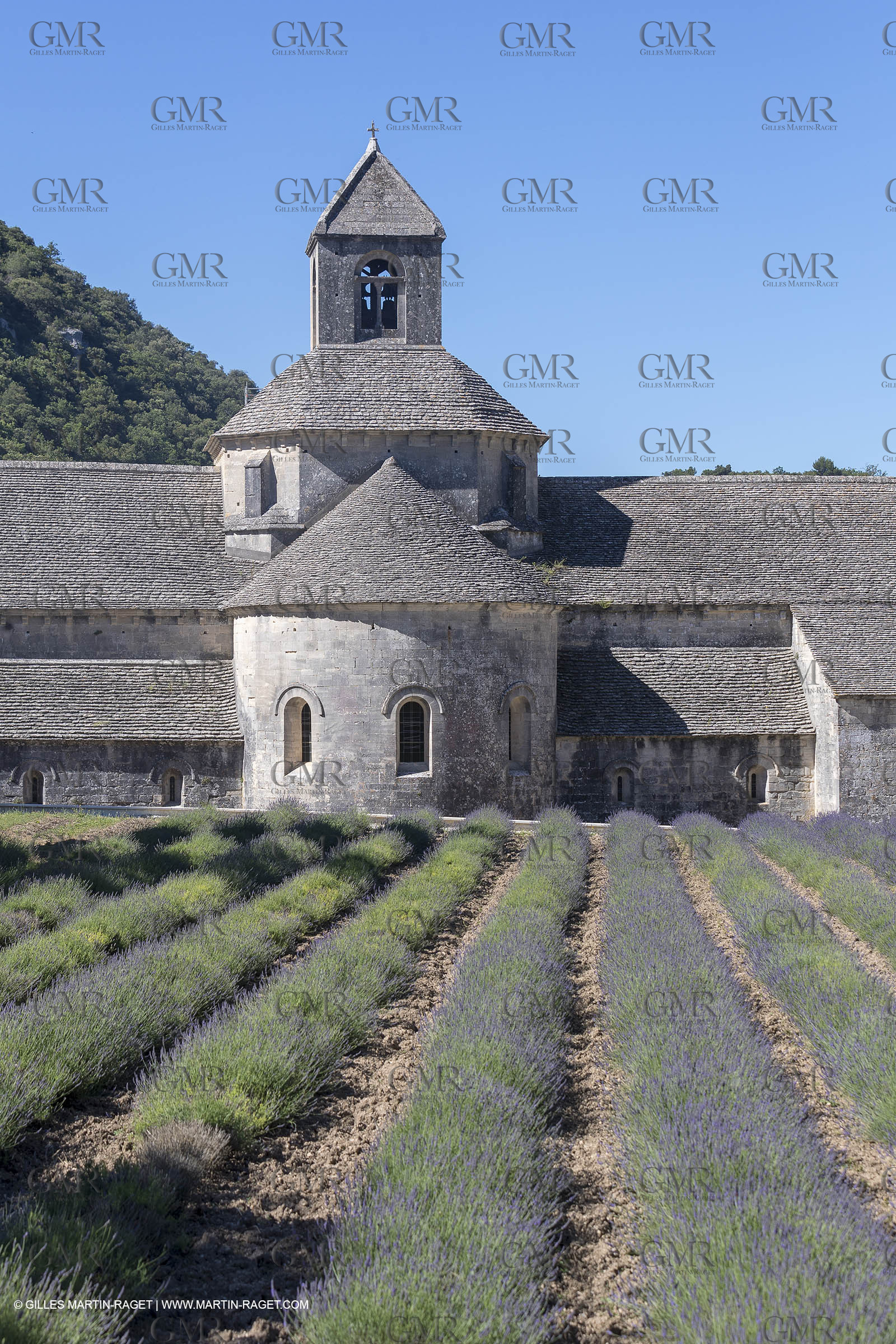 25 06 2018, Gordes (FRA,84), Abbaye de Sénanque