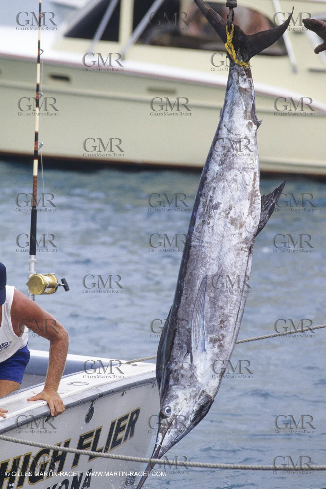 Water sports, Sportfishing, pêche au gros