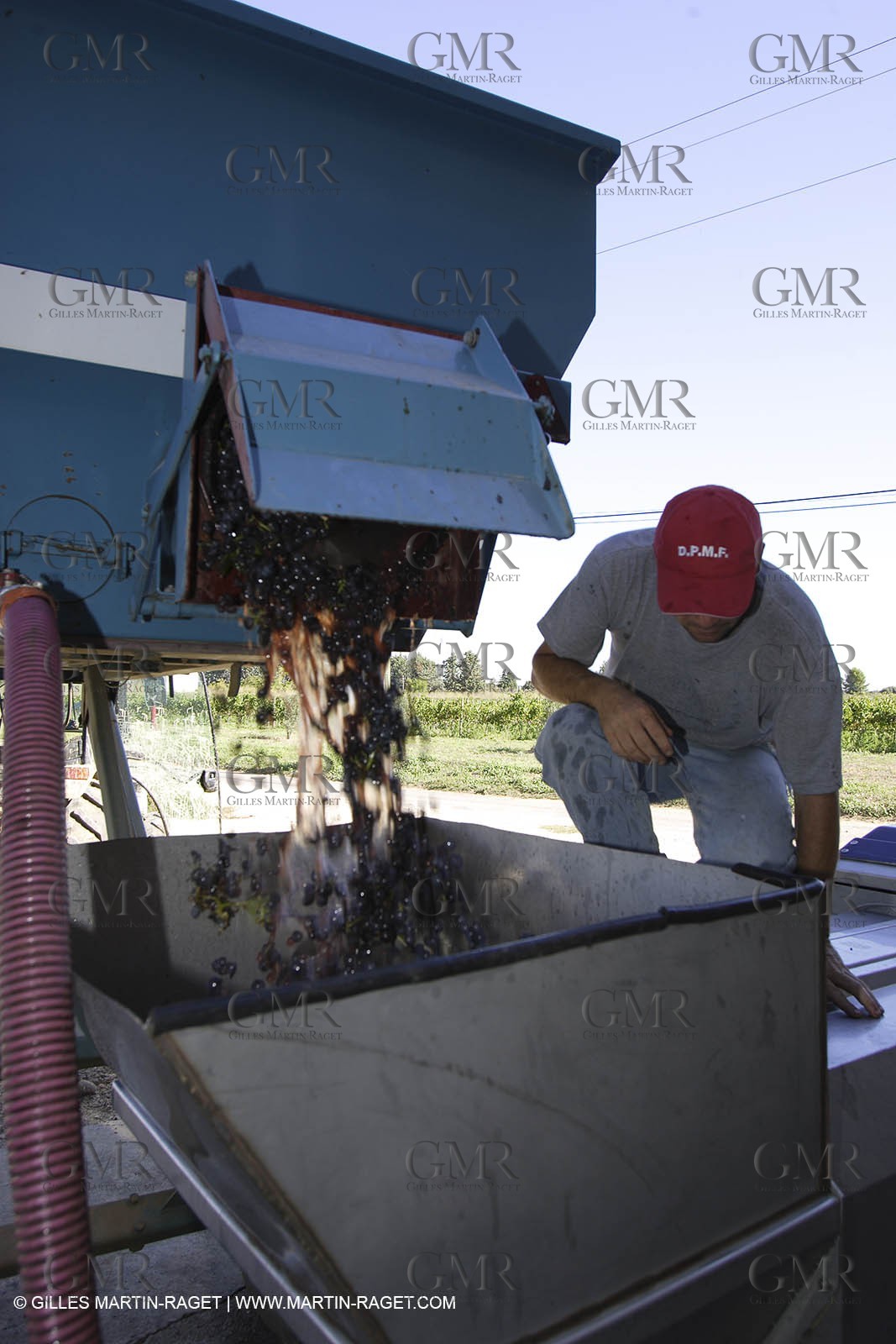 Harvest - D'or et de Gueule castle