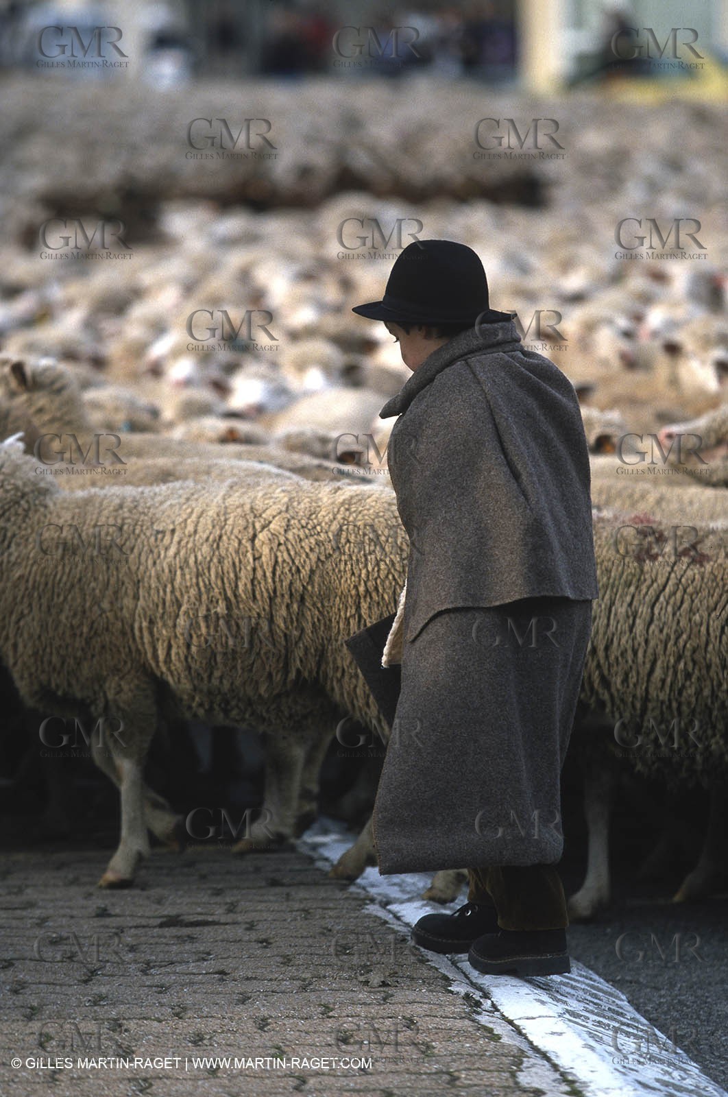 Saint Rémy de Provence (FRA,13) - Sheep stocks migration Fest