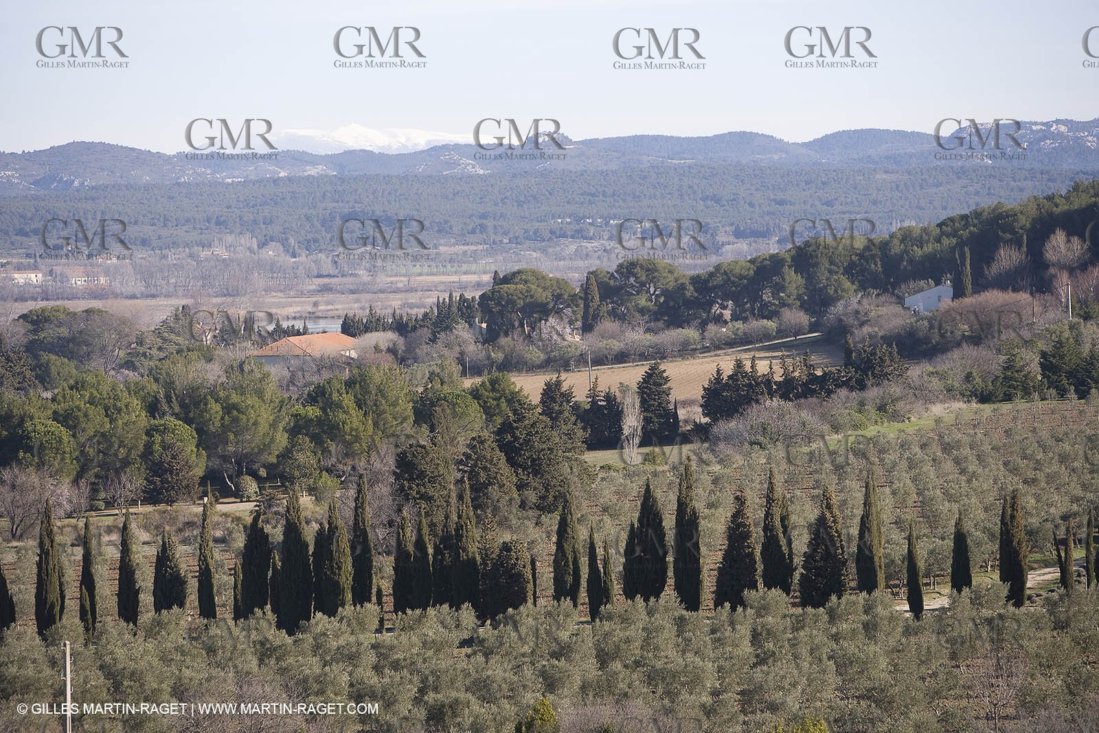 05 02 2008 - Arles (FRA, 13) - Arles surroundings landscapes