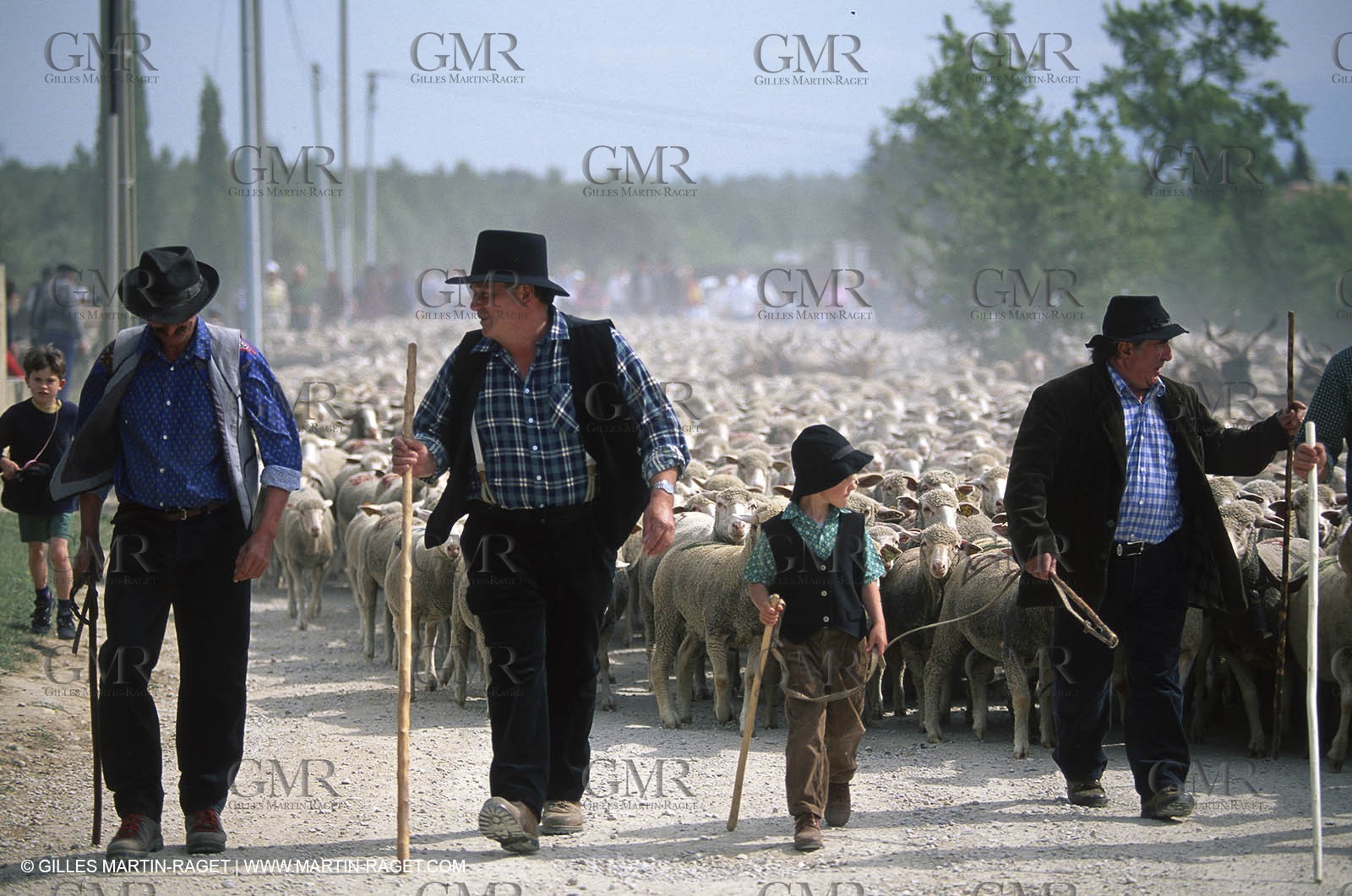 Saint Rémy de Provence (FRA,13) - Sheep stocks migration Fest