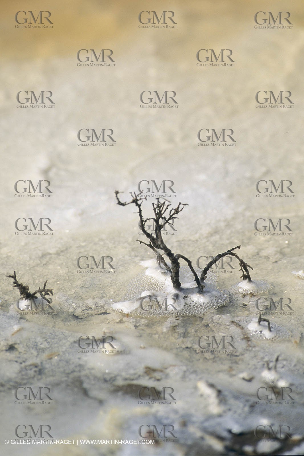 France, Provence, Marais salants, salted marshes, culture du sel, salt making, salt harvest