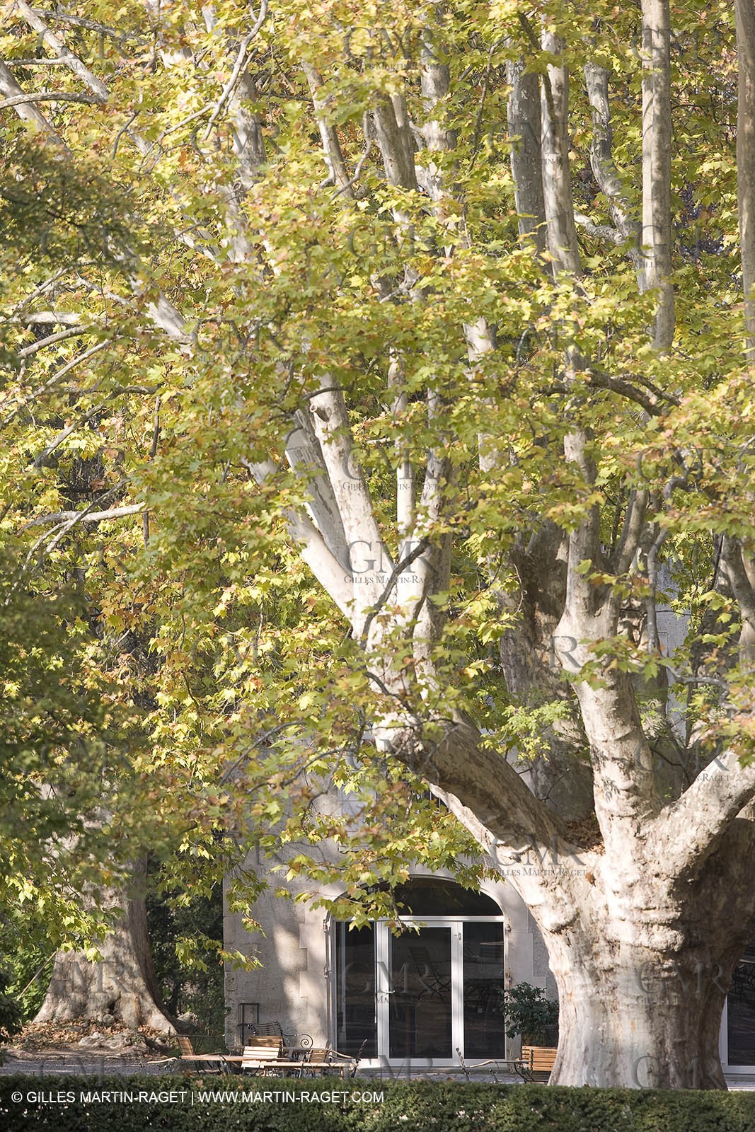 28 10 2007 - St Rémy de Provence (FRA,13) - Chateau des Alpilles