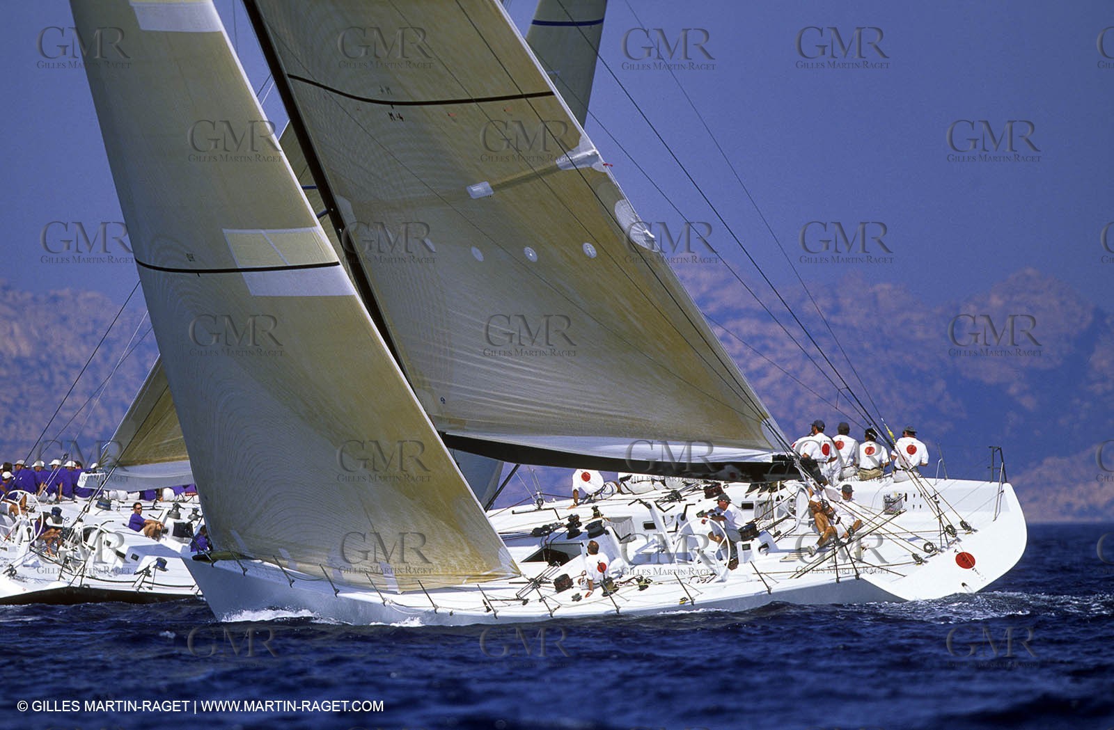 Maxi Yachts