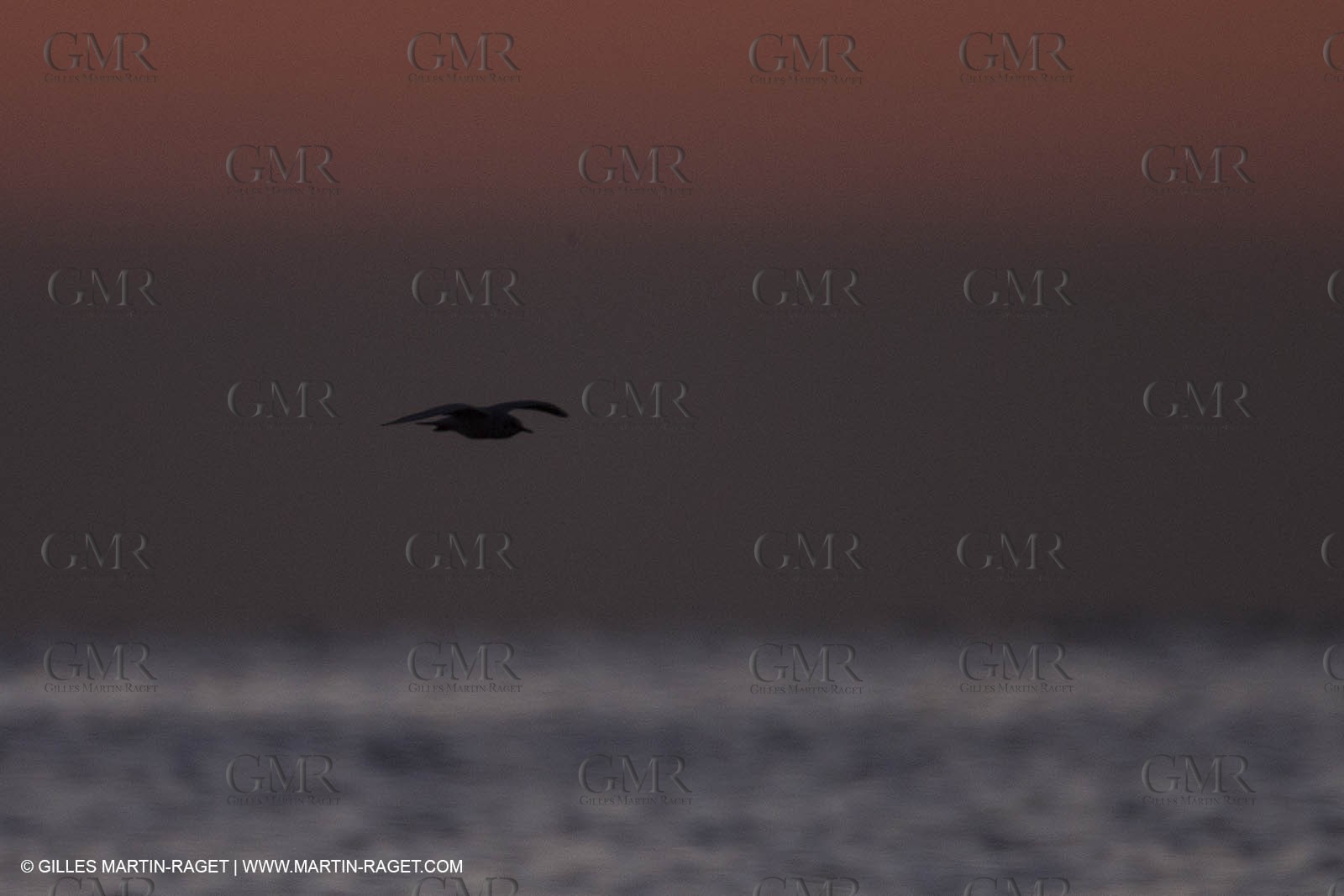 21 12 2014, Barcelona (ESP), Barcelona World Race 2014-15,