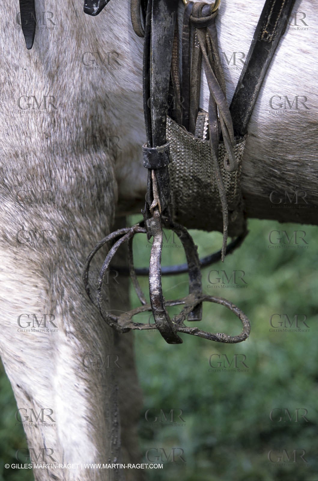 Arles - Camargue gardians (cow boys) at work