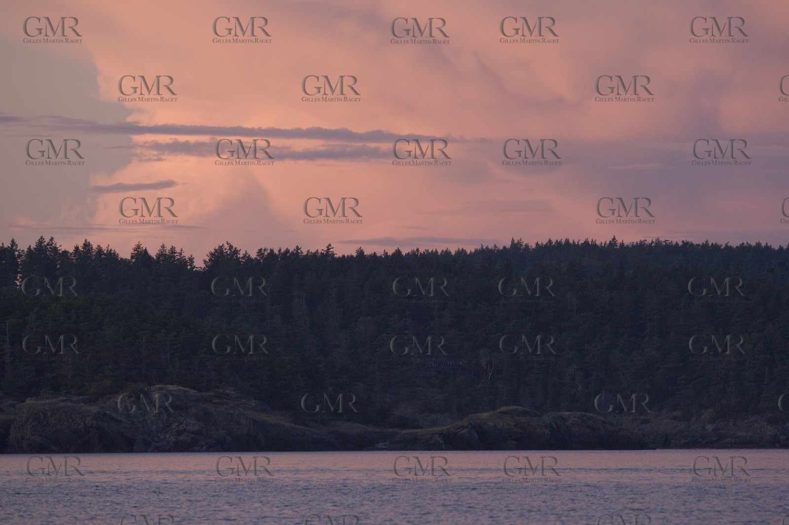 01 09 2008 - San Juan Islands (WA, USA) - Killer Whales