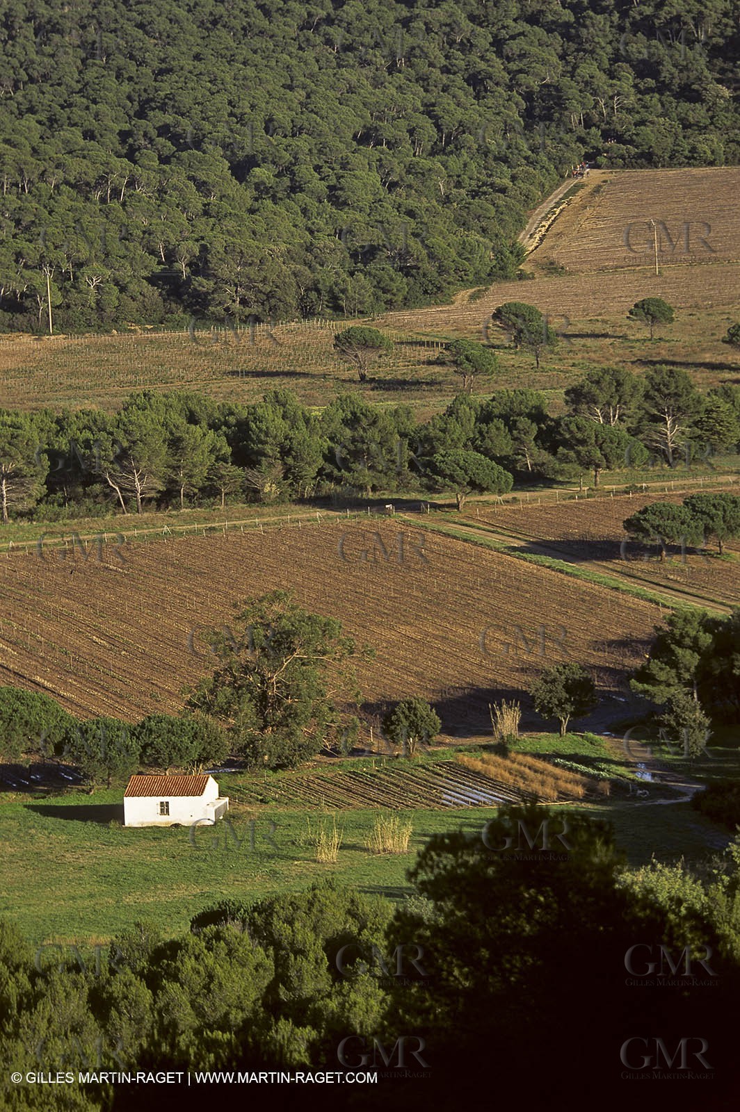 France - Var - 83 - Hyeres islands - Porquerolles
