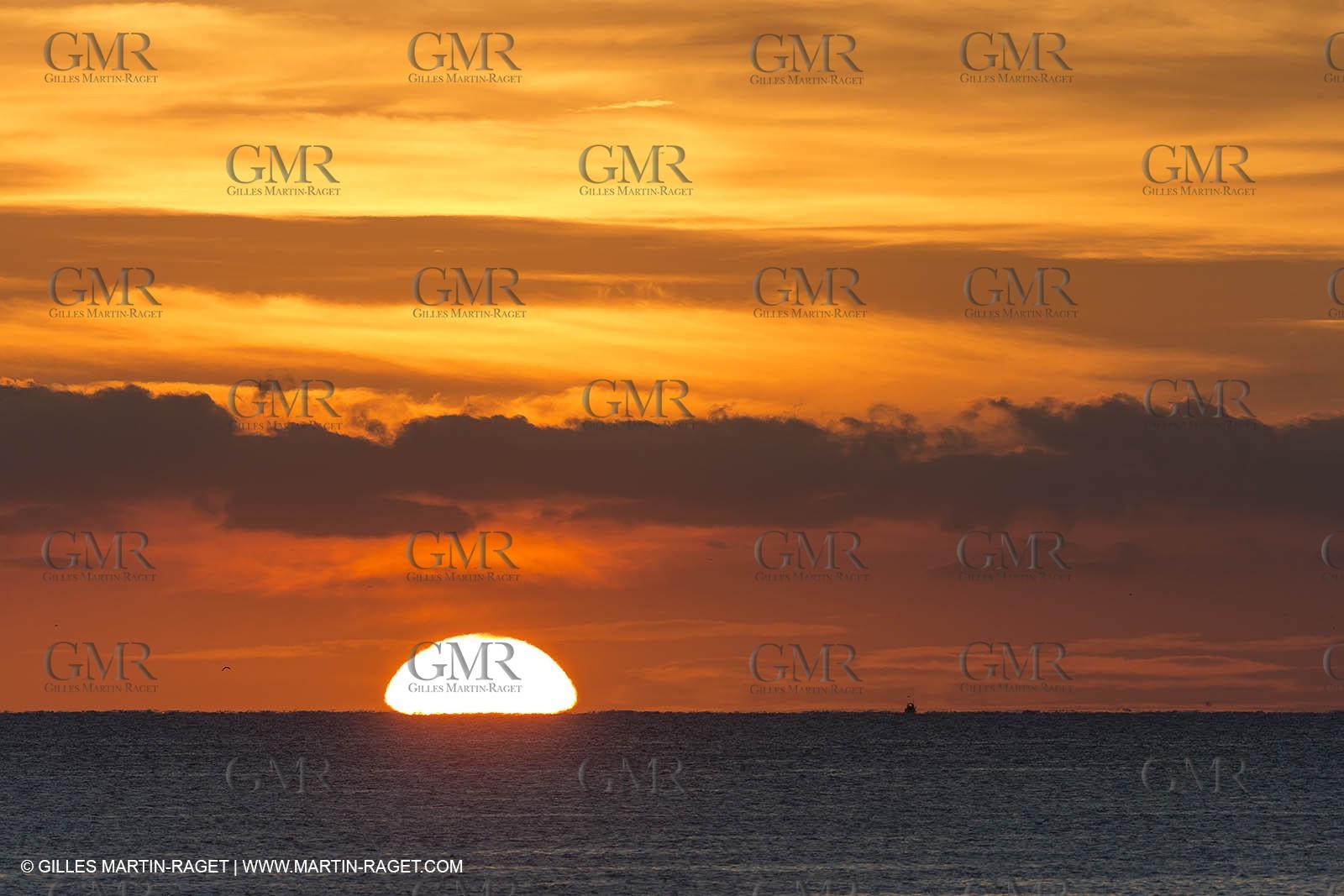 11 10 2014, Alicante (ESP), Volvo Ocean Race 2014-15, Team Alvimedica