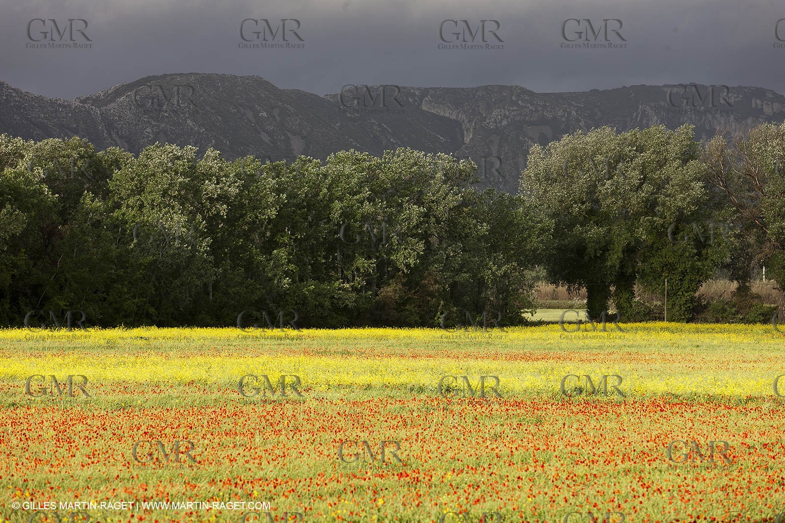 29 04 2012 ( Saint Rémy de Provence (FRA, 13) - Chaîne des Alpilles vers Romanin