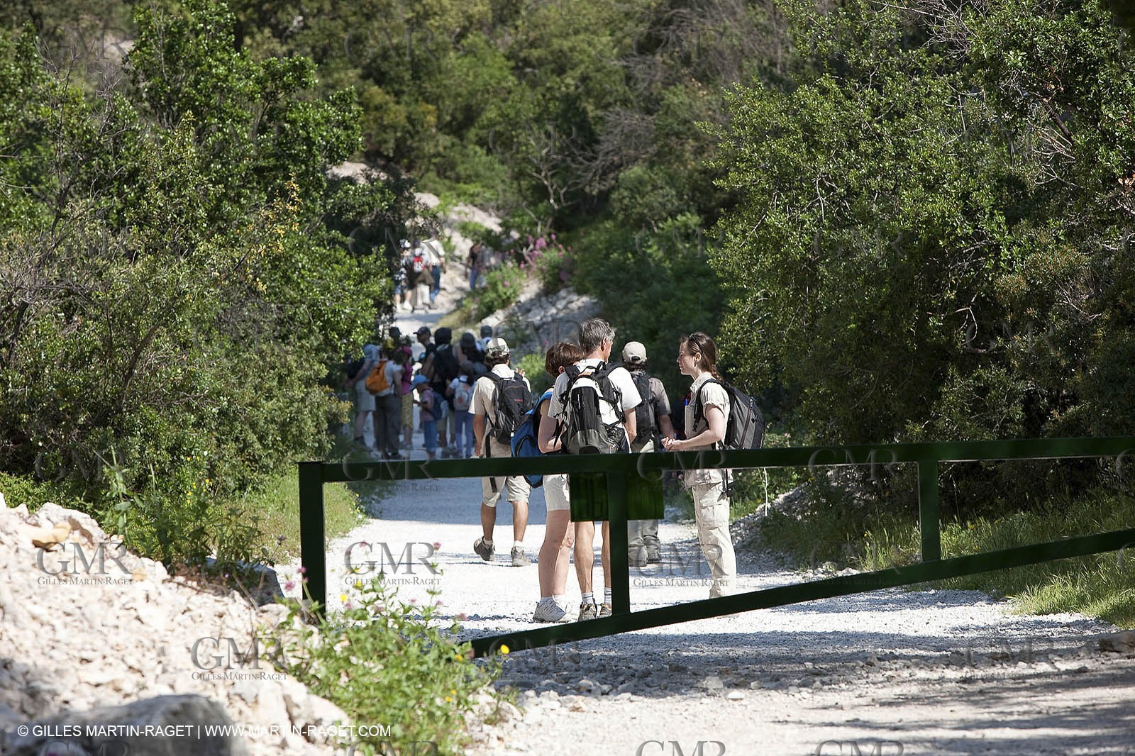 03 05 2009 - Marseille (FRA, 13) - Les Calanques - En Vau - Vallon d'en Vau