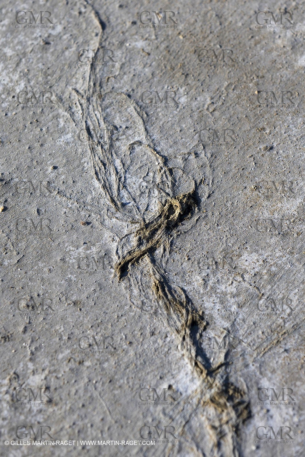 23 10 2014, Salins de Giraud (FRA,13), Salt & Speed 2014, Charlotte Consorti