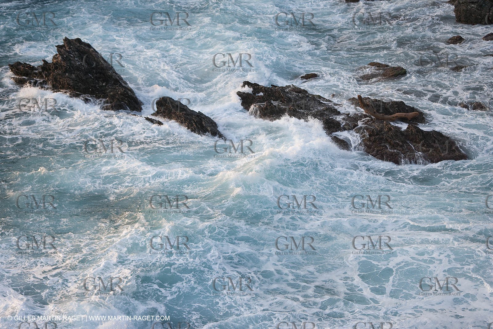 05 03 2009 - Pörquerolles Island south west coast (FRA, 83)