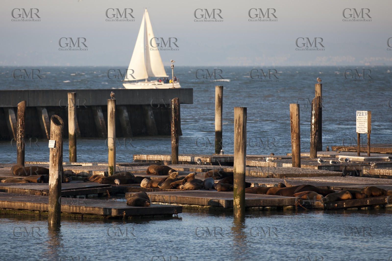 07 01 2011 - San Francisco (USA,CA) - The piers - Pier 39