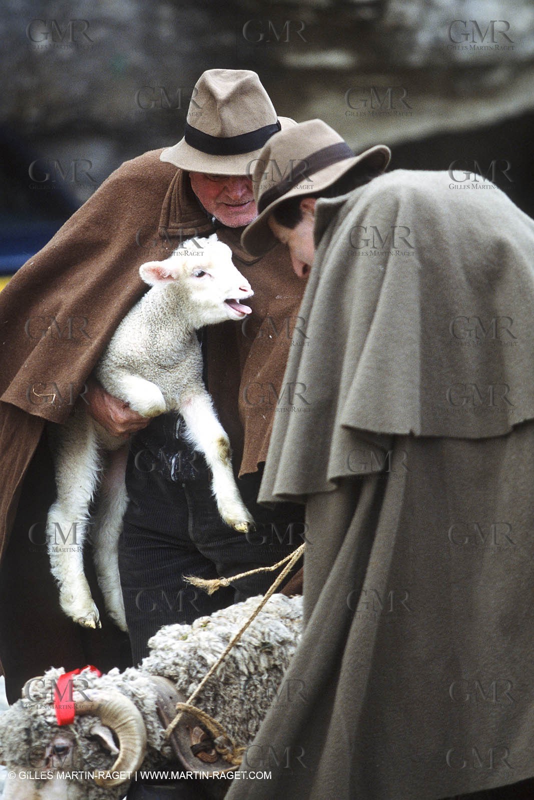 Saint Rémy de Provence (FRA,13) - Sheep stocks migration Fest