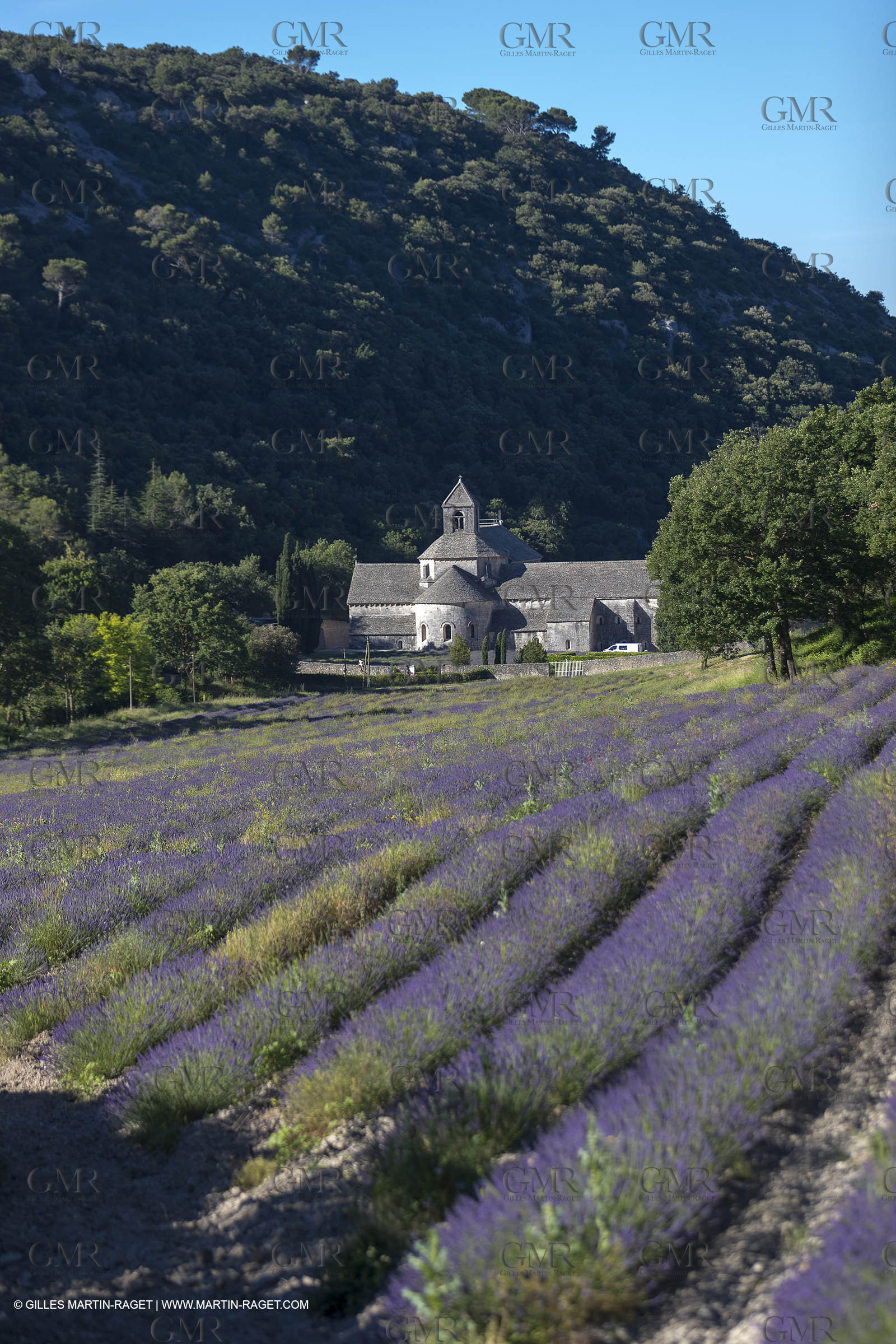 25 06 2018, Gordes (FRA,84), Abbaye de Sénanque