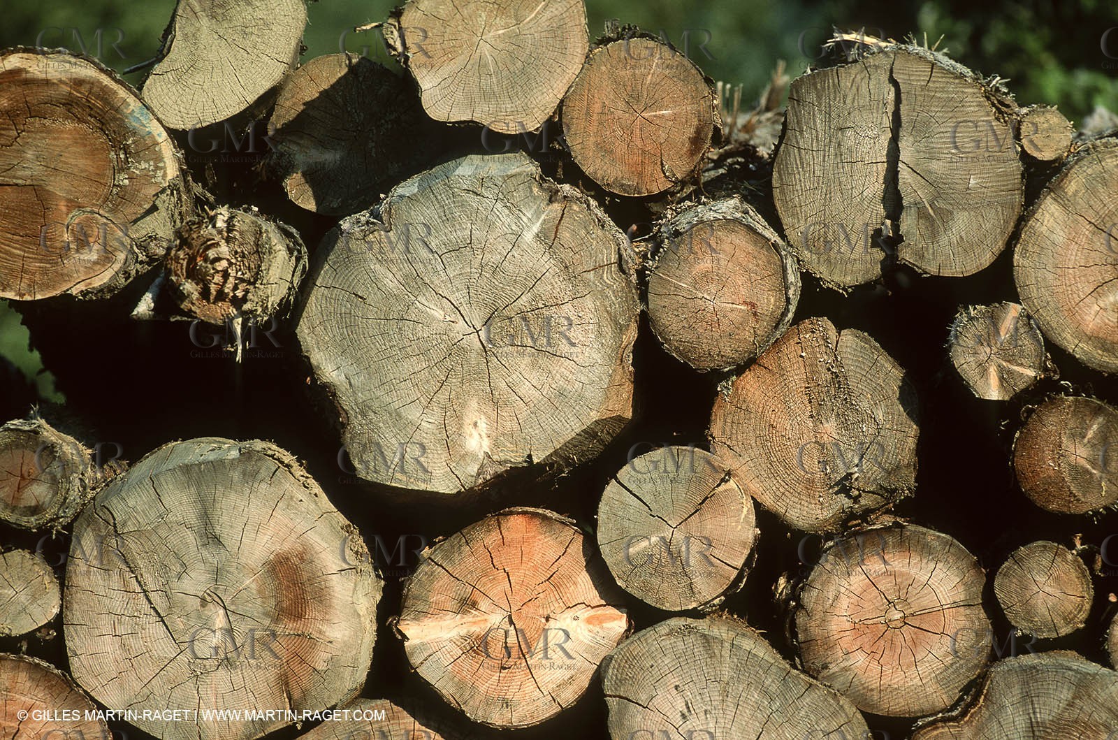 France - Southern Alps